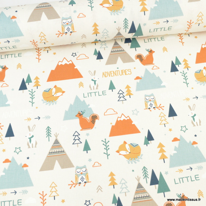 Motifs Animaux hibout et renard