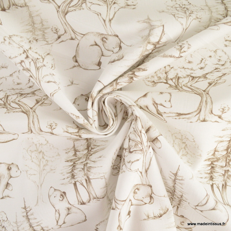 Motifs ours